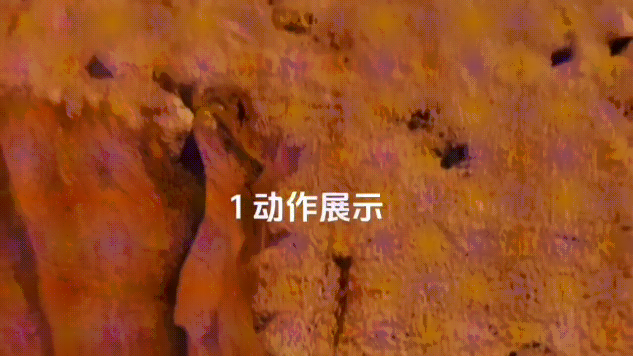 20250126_101832_734.gif 7.gif.gif
