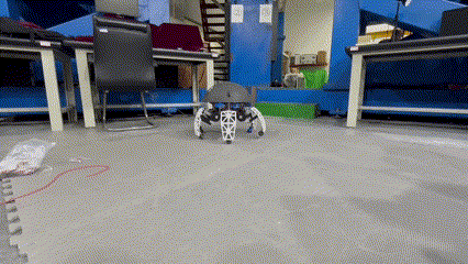 1747984155581444.gif 1747984155581444.gif