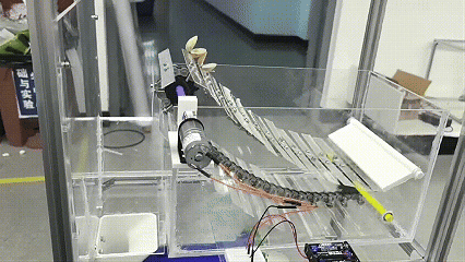 1769162409756634.gif 6.gif