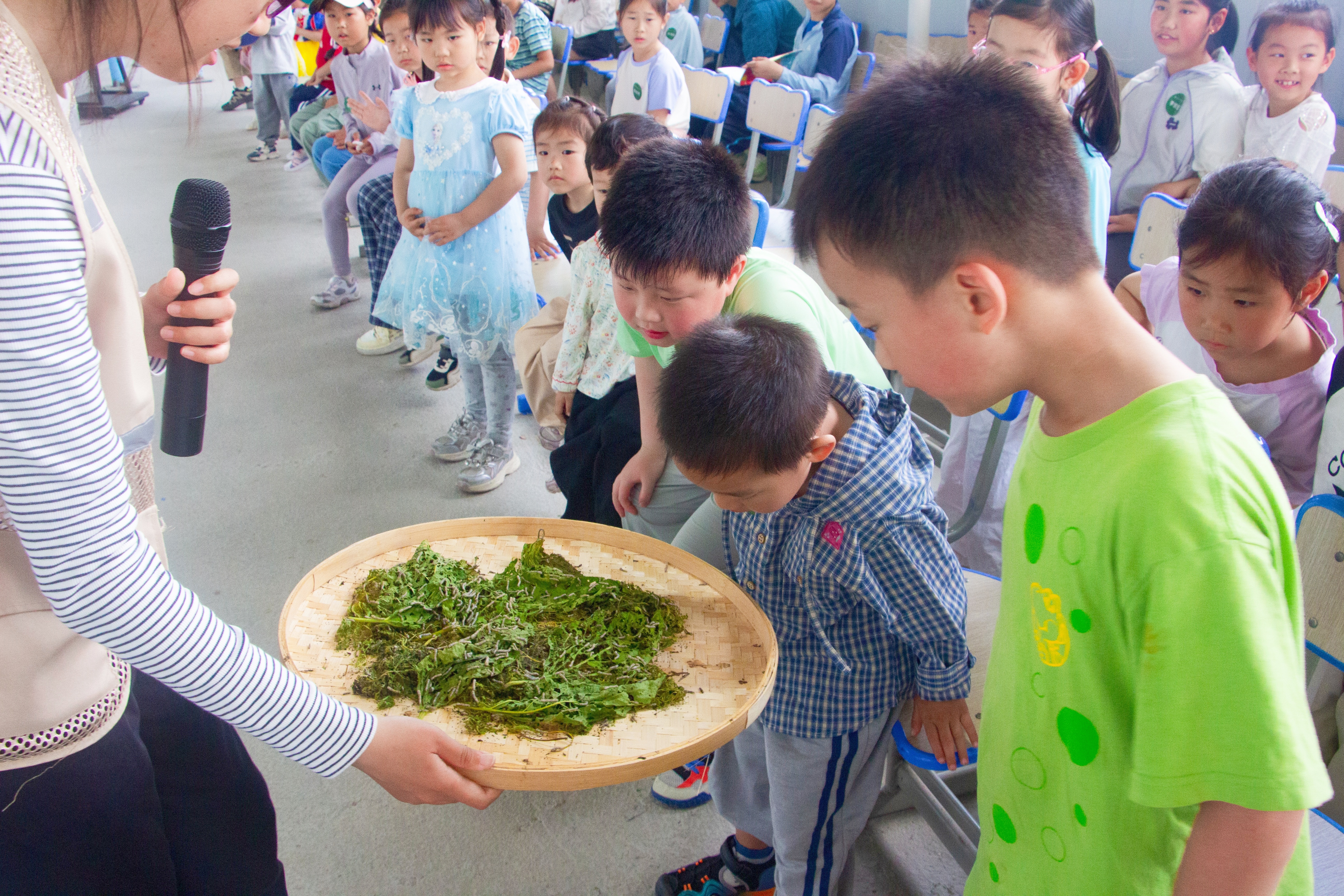 1779441172454018.jpg IMG_9425_副本_副本.jpg