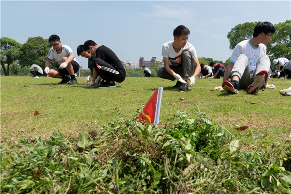 1621489152137357.jpg (3)除草劳动成果.jpg